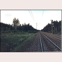 140 Nobynäs den 7 juni 1987, till vänster (där fotografens hustru står) är platsen där stugan låg. Foto: Jöran Johansson. 