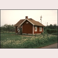 173 Karsås den 10 juni 1994, ett år innan stugan revs.  Detta är baksidan, dvs den från järnvägen vända sidan, dit namnskylten flyttats. Foto: Jöran Johansson. 