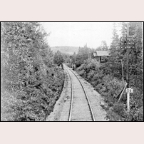 Nässjö - Oskarshamns järnväg nr 6 Bruzaholm, senare nr 804. Bilden från boken om NOJ 1874 - 1924. Den är tagen i riktning mot Bruzaholms station från krönet på den besvärliga stigning, som börjar direkt vid bangårdsänden och som vållat så många tunga tåg problem.  Foto: Okänd. 