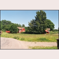 186 Sörby den 1 juli 2015. Sedan föregående bilder togs har grönskan tilltagit och ett rött plank kommit upp. Foto: Olle Alm. 