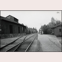 Alsjö håll- och lastplats 1950. Till vänster ligger en torvströfabrik och såg. Bild från Sveriges Järnvägsmuseum. Foto: Okänd. 