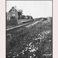 Heden kombinerade hållplats- och banvaktsstuga omkring 1910.  Foto: Okänd. 