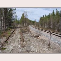 Vaimats grusgrop den 2 juni 2012, spåret till vänster gick till grusgropen och ligger fortfarande kvar minst en halv kilometer. Foto: Jöran Johansson. 