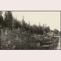 Gastsjön station Wednesday, 18 September 1929. Den dåliga bilden verkar vara tagen från ett tåg i rörelse, men någon annan och bättre verkar inte finnas att tillgå. Bild från Järnvägsmuseet. Foto: Okänd. 
