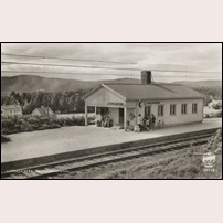 Ljungaverk hållplats på 1940-talet. Vykort från Pressbyrån. Foto: Okänd. 