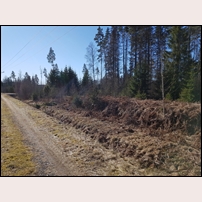 Mickelstorp lastplats den 22 mars 2020. Till höger ses den gamla lastkajen dold av vissna ormbunkar. Bilden är tagen mot söder. Foto: Matts Dagerhäll. 
