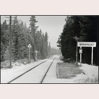 Norafallet hållplats på 1950- eller 1960-talet. Bild från Järnvägsmuseet. Foto: Okänd. 