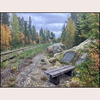 Minnesmärket mellan Ytterhogdal och Överhogdal den 23 september 2022. Inhugget i den hårda graniten kommer det i många år att erinra om ett av Sveriges stordåd. Foto: Stefan Nilsson. 