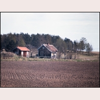 980 Tybble 1970. I bakgrunden ses Enbuskabacken, ett av Närkes största forntida gravfält med omkring 160 gravar. Den något beskurna bilden kommer från Örebro läns museum. Foto: Per-Olov Blom. 