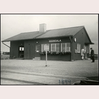 Odensala håll- och lastplats den 27 september 1948. Bild från Järnvägsmuseet. Foto: Okänd. 