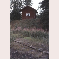 971 Spångenäs uthuset den 5 augusti 1979. Observera att fullt så här illa var banan inte skött. Bilden är tagen från baksidan av huset och det är ena spåret i grusgropen vi ser. Foto: Jöran Johansson. 