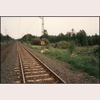 173 Karsås den 10 juni 1994. Källaren låg på den östra sidan av järnvägen medan stugan låg på den västra. Foto: Jöran Johansson. 