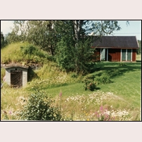 452 Karlsmyran, källare och uthus den 6 augusti 1996. Foto: Jöran Johansson. 