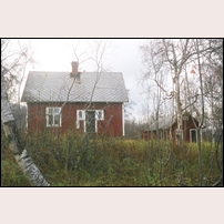 514 Pesinenjokk i oktober 1999. Foto: Olle Alm. 