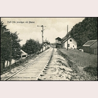 Båstad station, infarten västerifrån, enligt uppgift 1906. Bild från Sveriges Järnvägsmuseum. Foto: Okänd. 