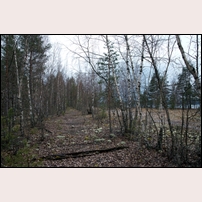 Kråkviken, spåret mot grusgropen den 23 april 2012. Foto: Roy Mårtensson. 