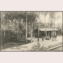 Västra Bodarne hållplats omkring 1902. Bild från Järnvägsmuseet. Foto: Okänd. 
