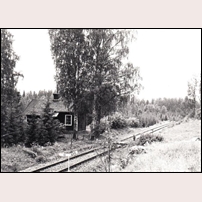 22 Björnhålan den 24 juni 1982. Foto: Karl-Axel Eriksson. 