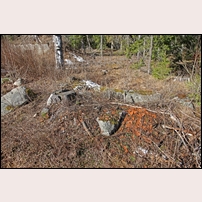 146 Murholmen den 4 april 2015. Även några nästan övervuxna grundstenar är kvar som ett litet kulturminne. Foto: Olle Thåström. 