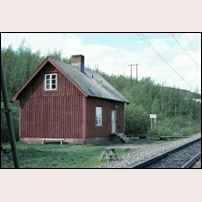 532 Kyrkogården den 3 juli 1982. Foto: Bengt Gustavsson. 