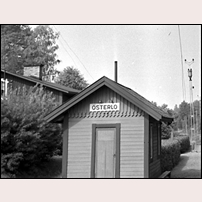 Österlo hållplats i augusti 1942. Till vänster bortom hållplatsstugan syns banvaktsstugan Lo. Utsnitt ur en bild från Sveriges Järnvägsmuseum. Foto: Okänd. 