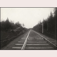 46 Smedsbo vid okänd tidpunkt, troligen omkring 1910. Bild från Sveriges Järnvägsmuseum. Foto: Okänd. 