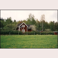 376 Aspö Thursday, 21 May 1998.  Foto: Jöran Johansson. 