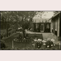 194 Lagmansryd den 10 juni 1926. Ett starkt intresse för trädgård och växter har resulterat i denna fina anläggning. Banvakten Otto Almström tar igen sig på soffan i bakgrunden. Bild från Sveriges Järnvägsmuseum. Foto: Okänd. 