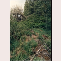 1434-144 Ralingsås den 7 juni 1987. Stuggrunden ligger kvar, liksom en jordkällare dold under och bakom buskaget mitt i bilden. Foto: Jöran Johansson. 