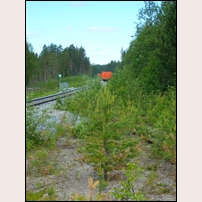 Edsta lastplats i juni 2007. Till höger syns det kvarliggande lastspåret, men växeln i linjen är borttagen sedan 1993. Foto: Lars Holmqvist. 