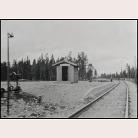 Saltmyran håll- och lastplats på en tidig bild, allt verkar nybearbetat, så kanske är den från öppningsåret 1928. Bild från Sveriges Järnvägsmuseum. Foto: Okänd. 