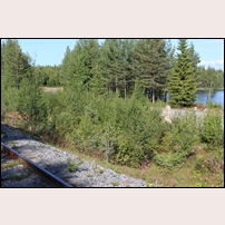 Olycksplatsen vid Abmoälven den 28 augusti 2017, minnesstenen står ett tiotal meter från järnvägen. Foto: Jöran Johansson. 