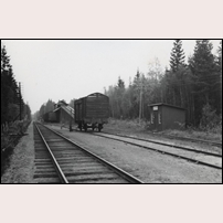 Duvetorp lastplats på en 1940-talsbild. Till lastplatsen ledde en smalspårig liten järnväg från några torvtäkter söder om järnvägen. Lessebo AB var ägare till hela anläggningen och torven användes vid bolagets olika verksamheter. Bild från Sveriges Järnvägsmuseum. Foto: Okänd. 