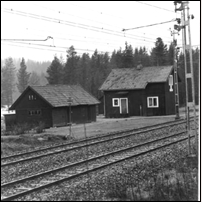 318 Holmnäset 1977. Bild från Länsmuseet Västernorrlands bildarkiv. Foto: Bo Hellman. 