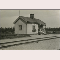 Bocktjärn håll- och lastplats, troligen på 1940-talet. Bild från Järnvägsmuseet. Foto: Okänd. 