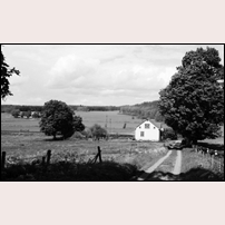 132 Gripenbergs slott den 8 juni 1994. Stugan ligger i den vackra Svartådalen nedanför det bekanta träslottet Gripenberg från 1600-talet.  Foto: Jöran Johansson. 