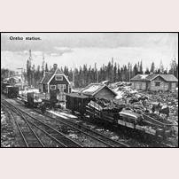 Älvho station, medan den ännu hette Oreho, dvs före 1911. Bild från Järnvägsmuseet. Foto: Okänd. 