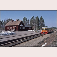 Blattnicksele station den 10 maj 1975. Platsvakten är på väg ut till tåget med sin bagagekärra. Foto: Per Niklasson. 