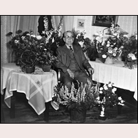 Johan Edvin Ahlbom var den förste banvakten i Vikborg. Här har han blivit uppvaktad och fotograferad på sin 90-årsdag vilken inföll den 18 juni 1960. Bild från Skellefteå Museum, dit den inlämnats av Margareta Nilsson. Foto: Okänd. 