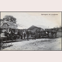 Ljunghusen station, hästspårvägen som var i bruk mellan 1905 och 1924. Här ses hela personvagnsparken, den ena vagnen har tälttaket pålagt, den andra kör helt öppet. Okänt vykort. Foto: Okänd. 