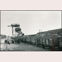 Navladal lastplats med pågående betlastning något av de sista åren den var i drift (nedlades 1959). Bild från Järnvägsmuseet. Foto: K. Holmlund. 