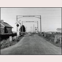 409 Eldsberga södra skymtar i vänster bildkant, i oktober 1957. Bild från Järnvägsmuseet. Foto: Okänd. 