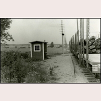 Hylinge hållplats, enligt museets uppgift omkring 1962. Banan nedlades hösten 1960, så det måste vara rivningståget som nått hit. Fotoriktning mot Kummelby - Norrköping. Bild från Järnvägsmuseet. Foto: Okänd. 