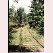 Soåsaspåret den 15 juni 1994. Bilden är tagen nära linjeväxeln. Foto: Jöran Johansson. 